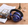 БЕСПРОВОДНЫЕ FM СТЕРЕО НАУШНИКИ ERGO VJ080 СИНИЕ