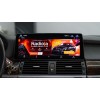 Штатная магнитола 8/128 ГБ RDL-1225 L для BMW X5/X6 (E70/E71) 2009-2014 CIC на Android 13.0